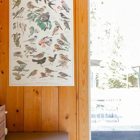 Feel The Nature Around In Scandinavian Log House Frederiksvaerk